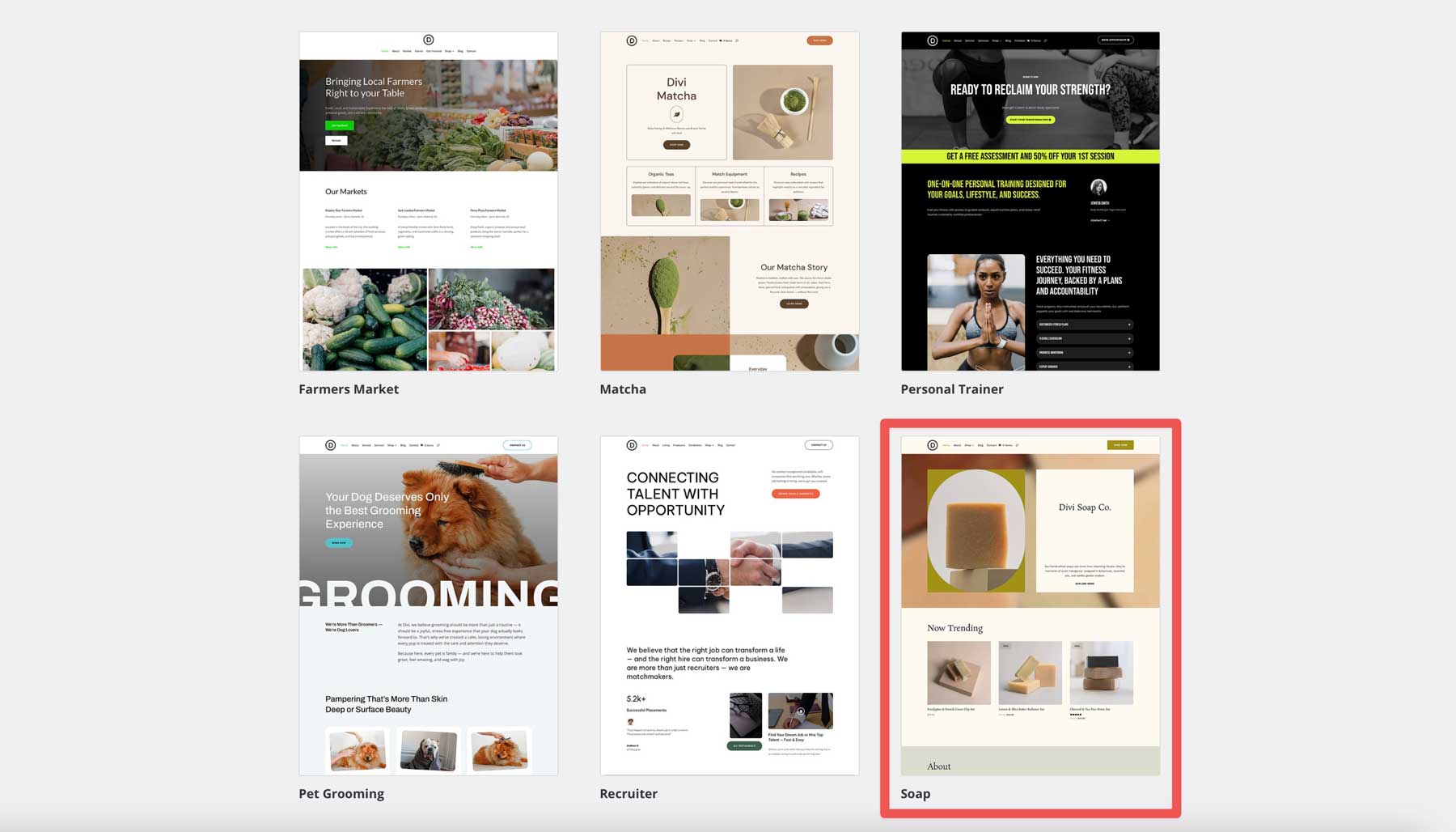 Soap starter site for Divi