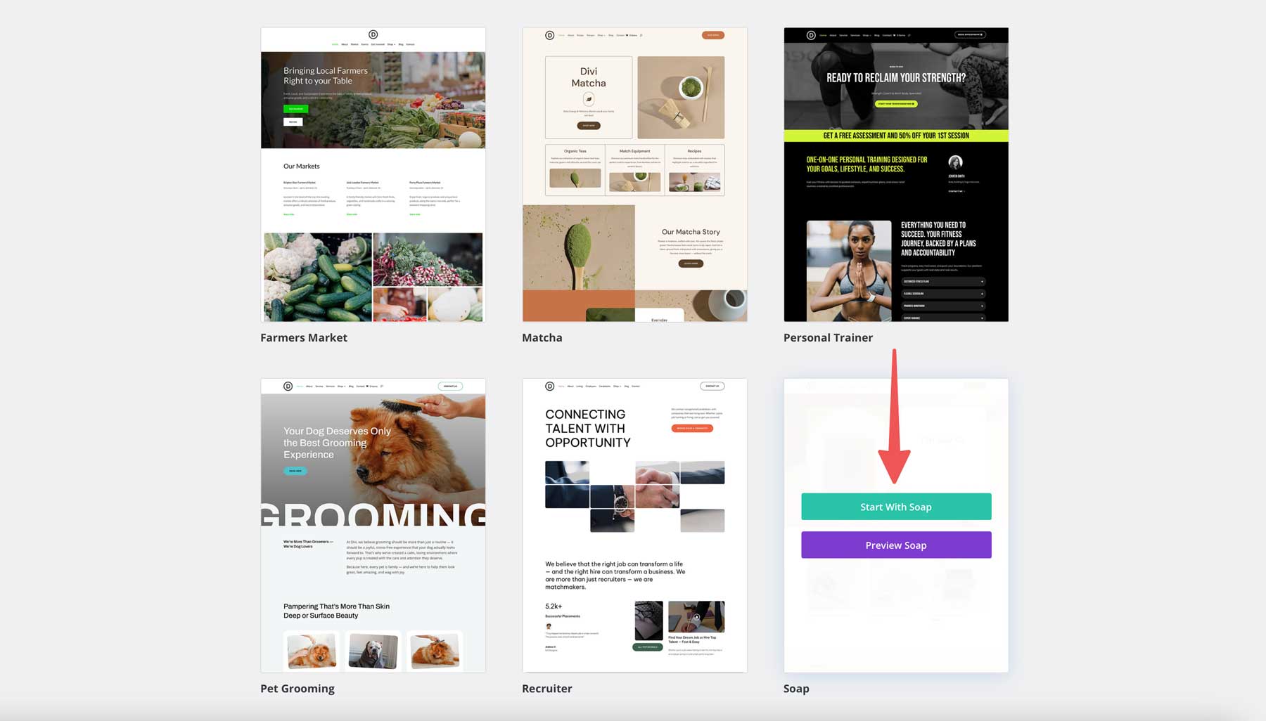 Soap starter site for Divi