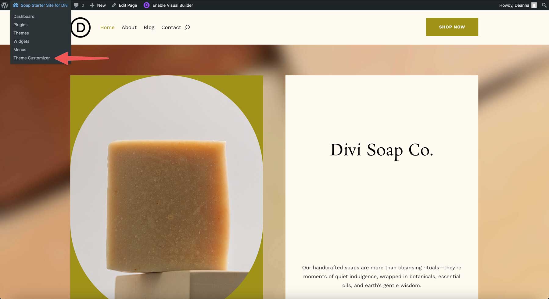 Soap starter site for Divi