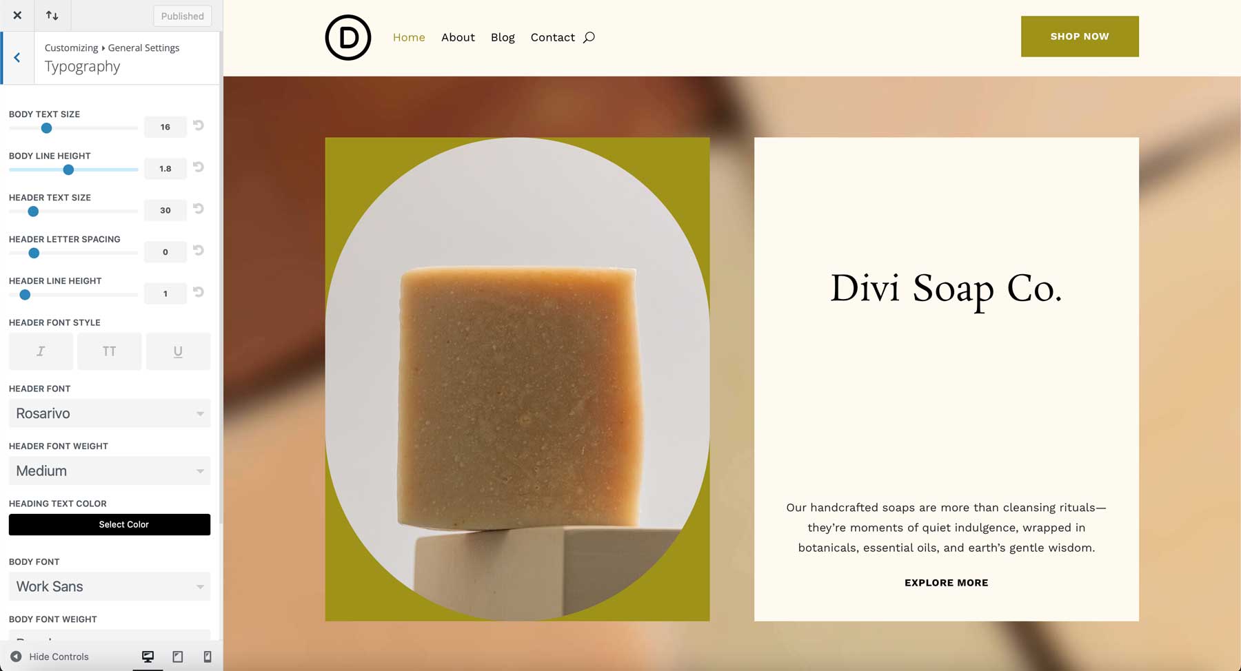Soap starter site for Divi