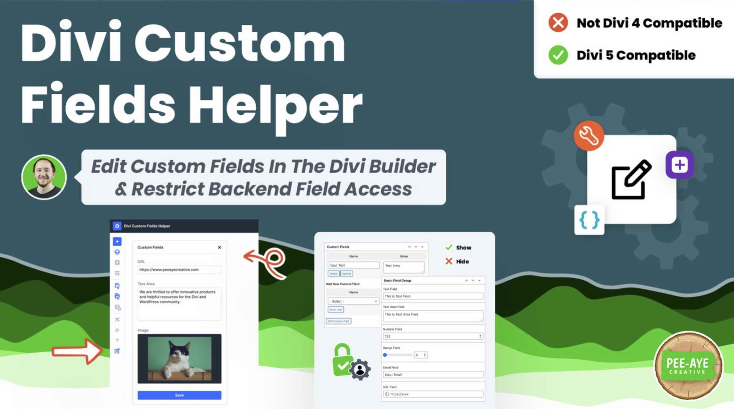 Divi Custom Fields Helper