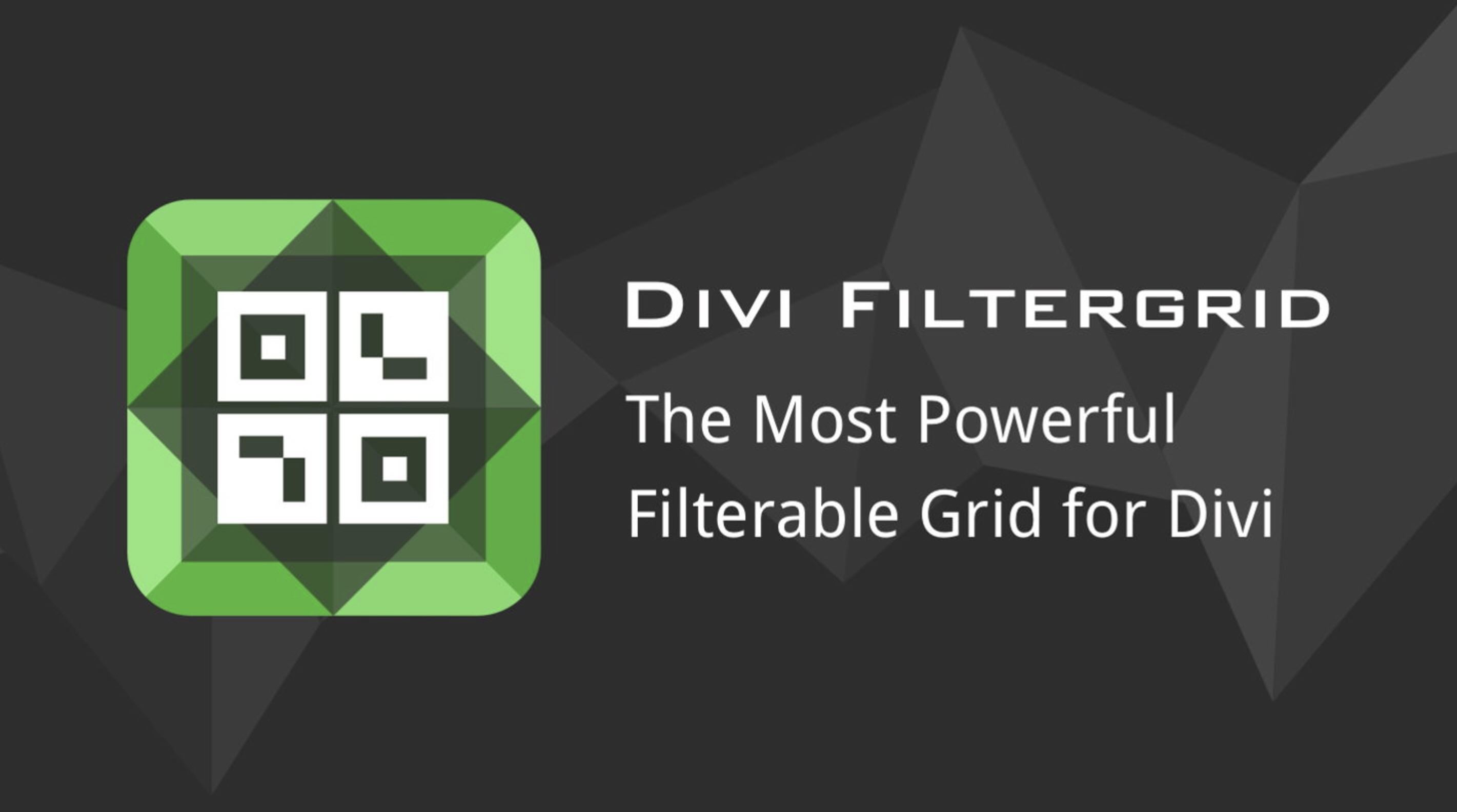 Divi FilterGrid