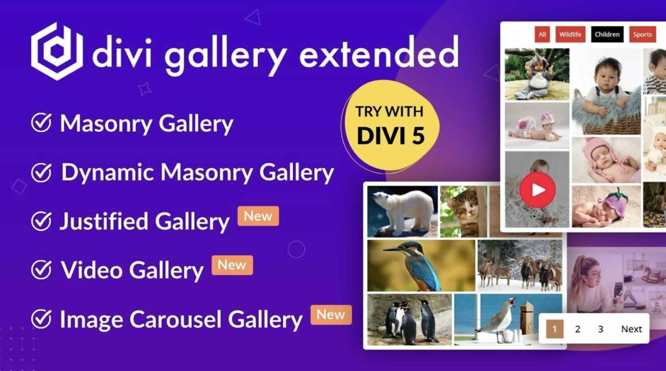 Divi Gallery Extended