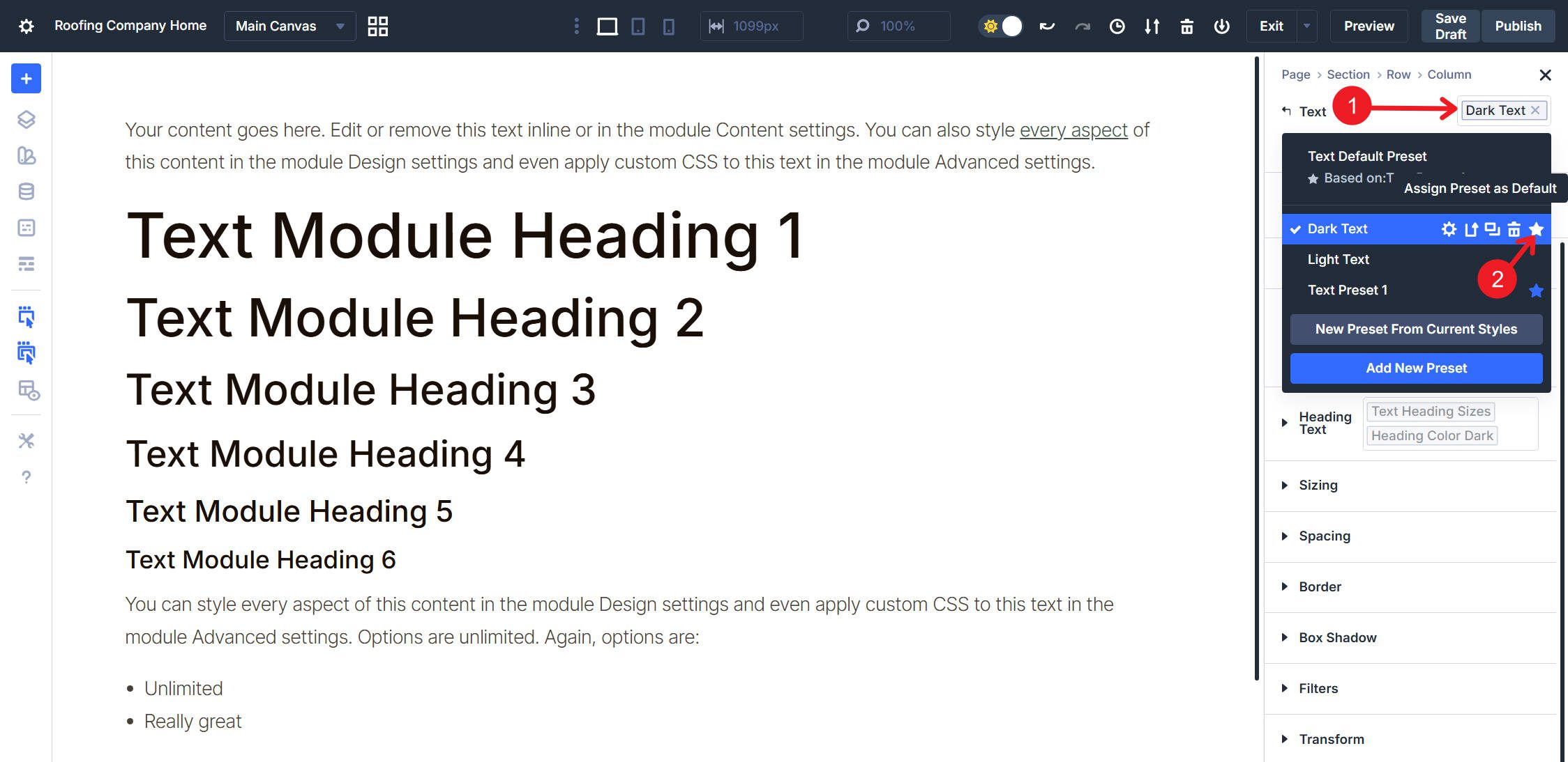 Assign Dark Text Element Preset for Text Module as the Default