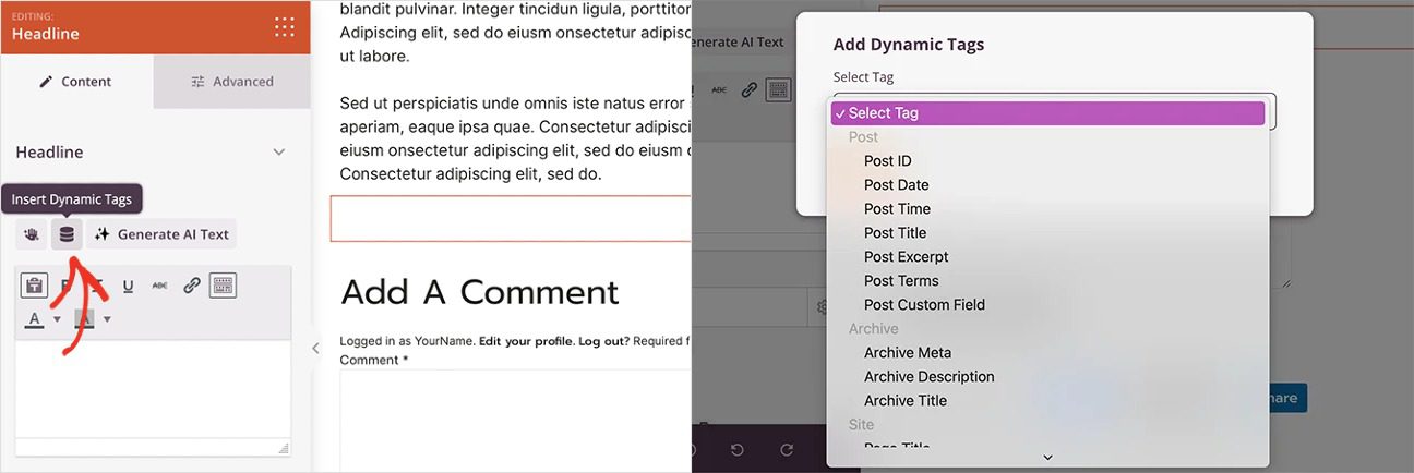 SeedProd Dynamic Data Options