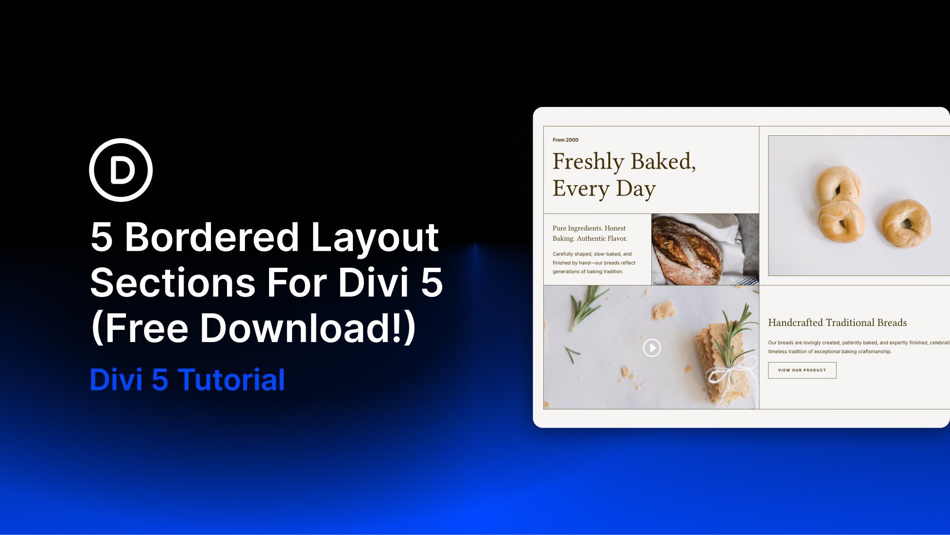 5 Bordered Layout Sections For Divi 5 (Free Download!)