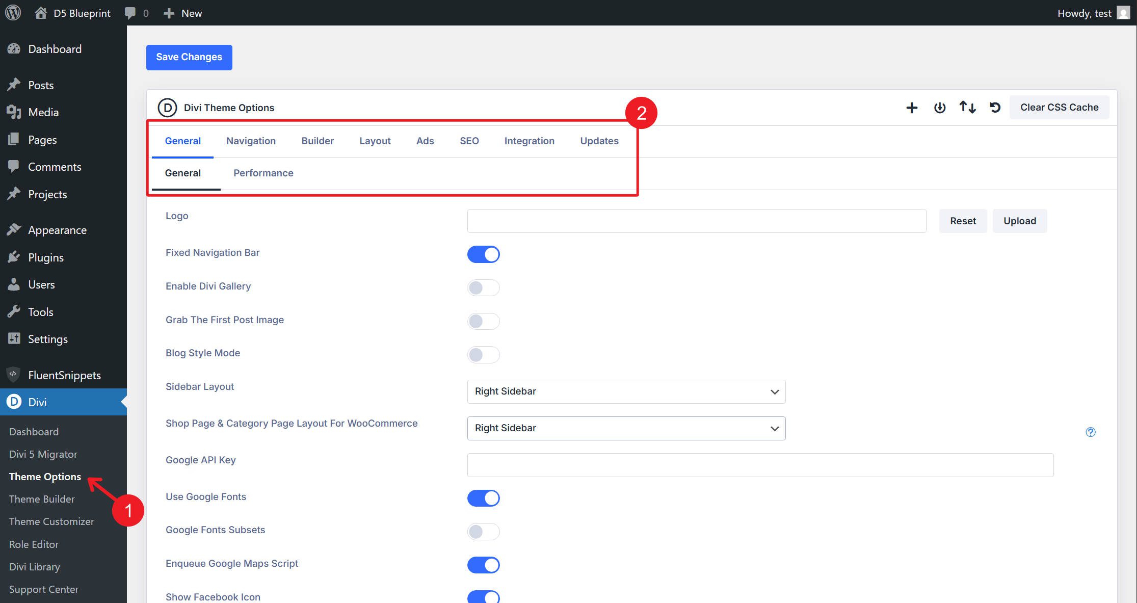 Divi Theme Options Page