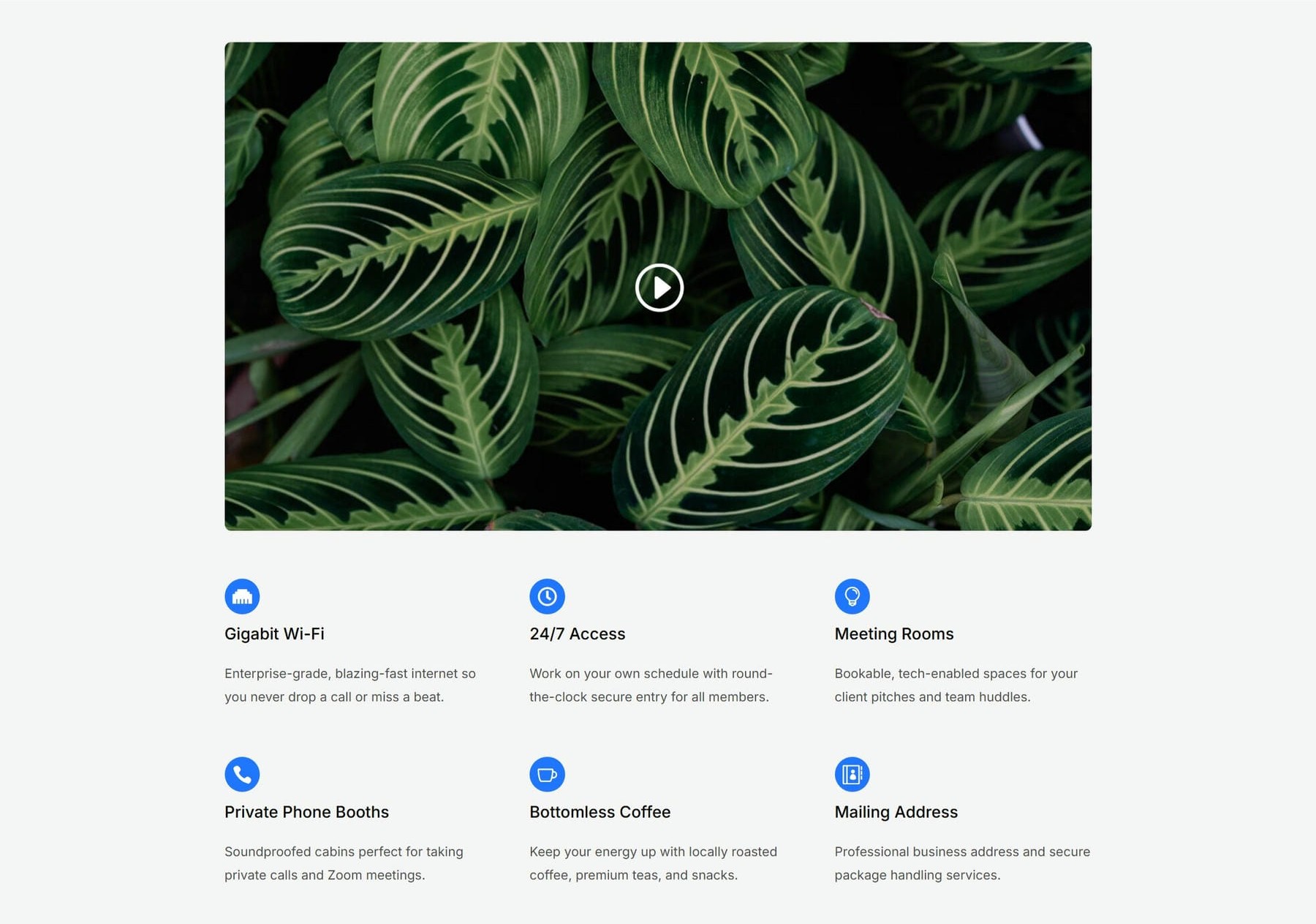 Features grid section of the Divi 5 coworking homepage