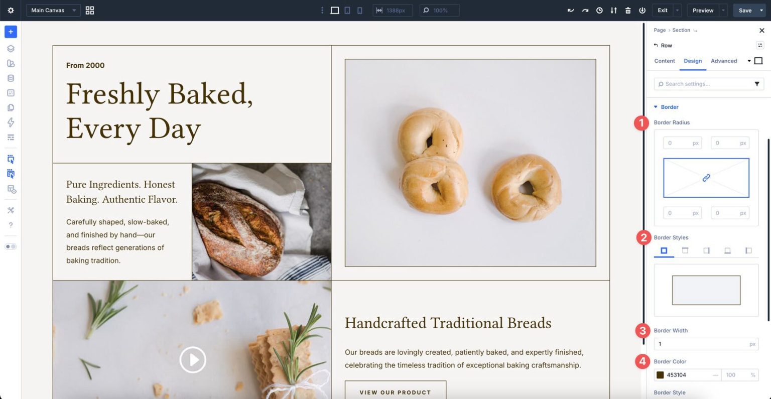 5 Bordered Layout Sections For Divi 5 (Free Download!)