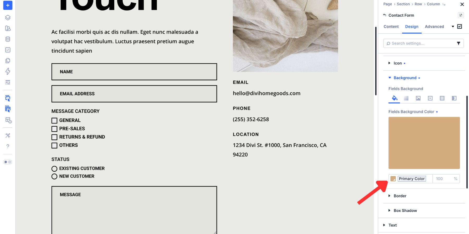 Primary color used for a selected radio background in Divi 5