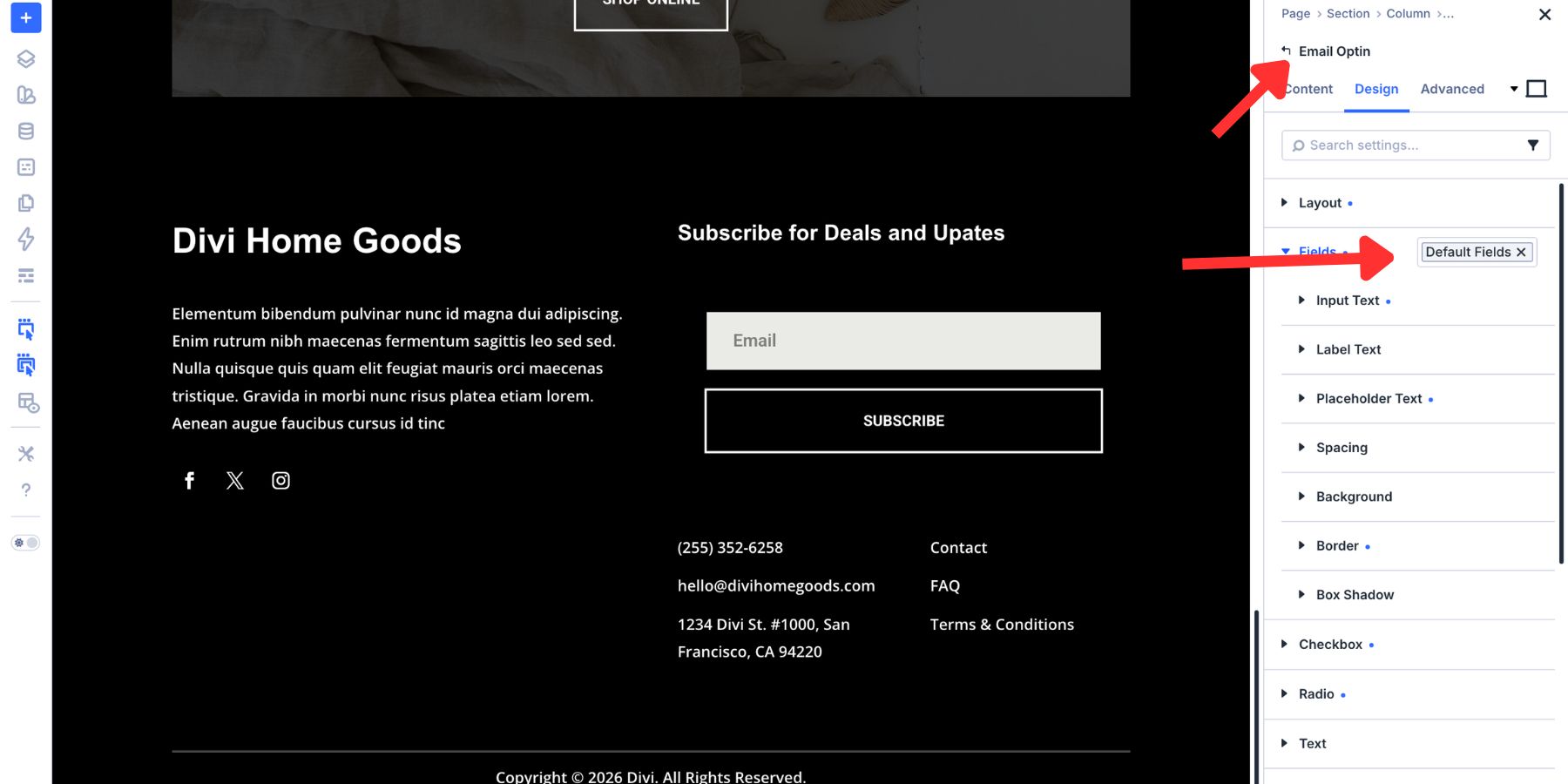Contact Form field Option Group Preset applied to an Email Optin module in Divi 5