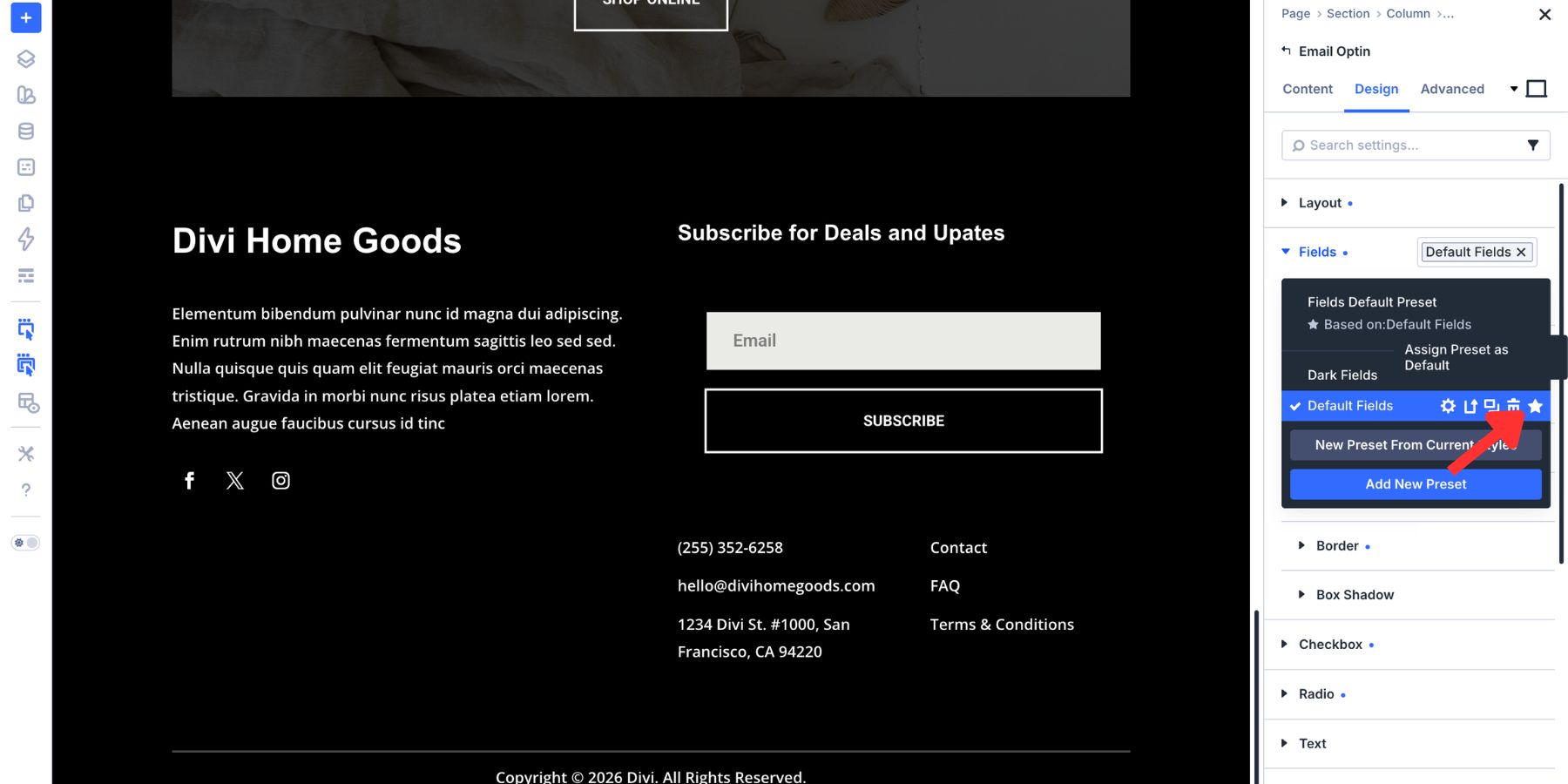 Set an Option Group Preset as default in Divi 5
