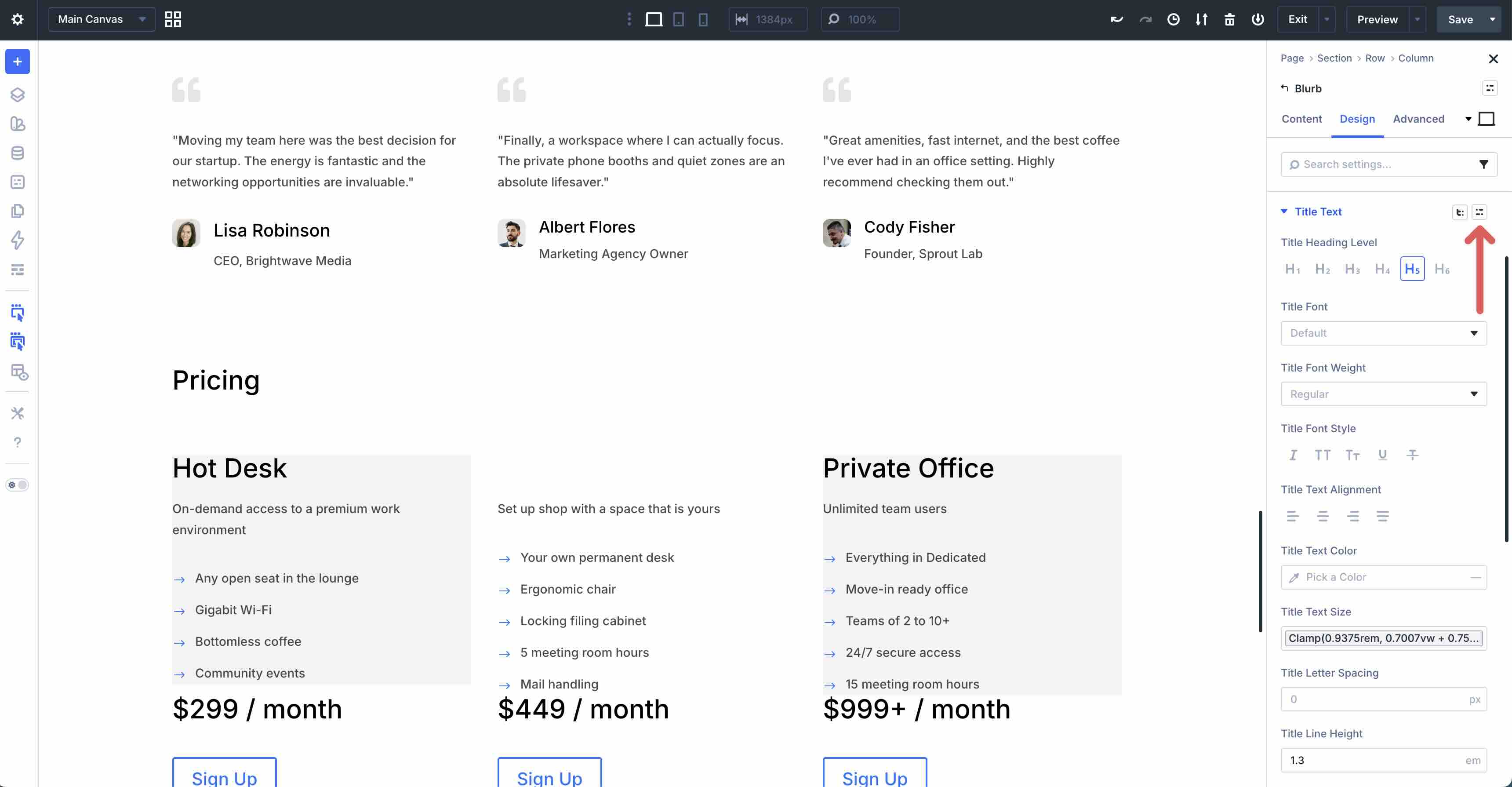 Preset icon in a Divi 5 option group