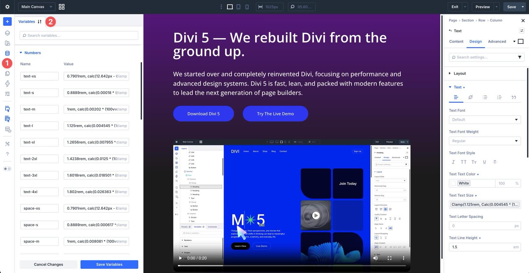 Design variables in Divi 5