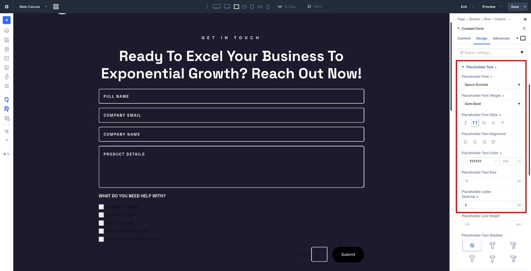 Placeholder text settings for the form fields
