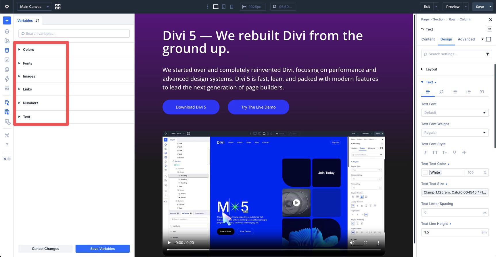Variables grouped by type in Divi 5