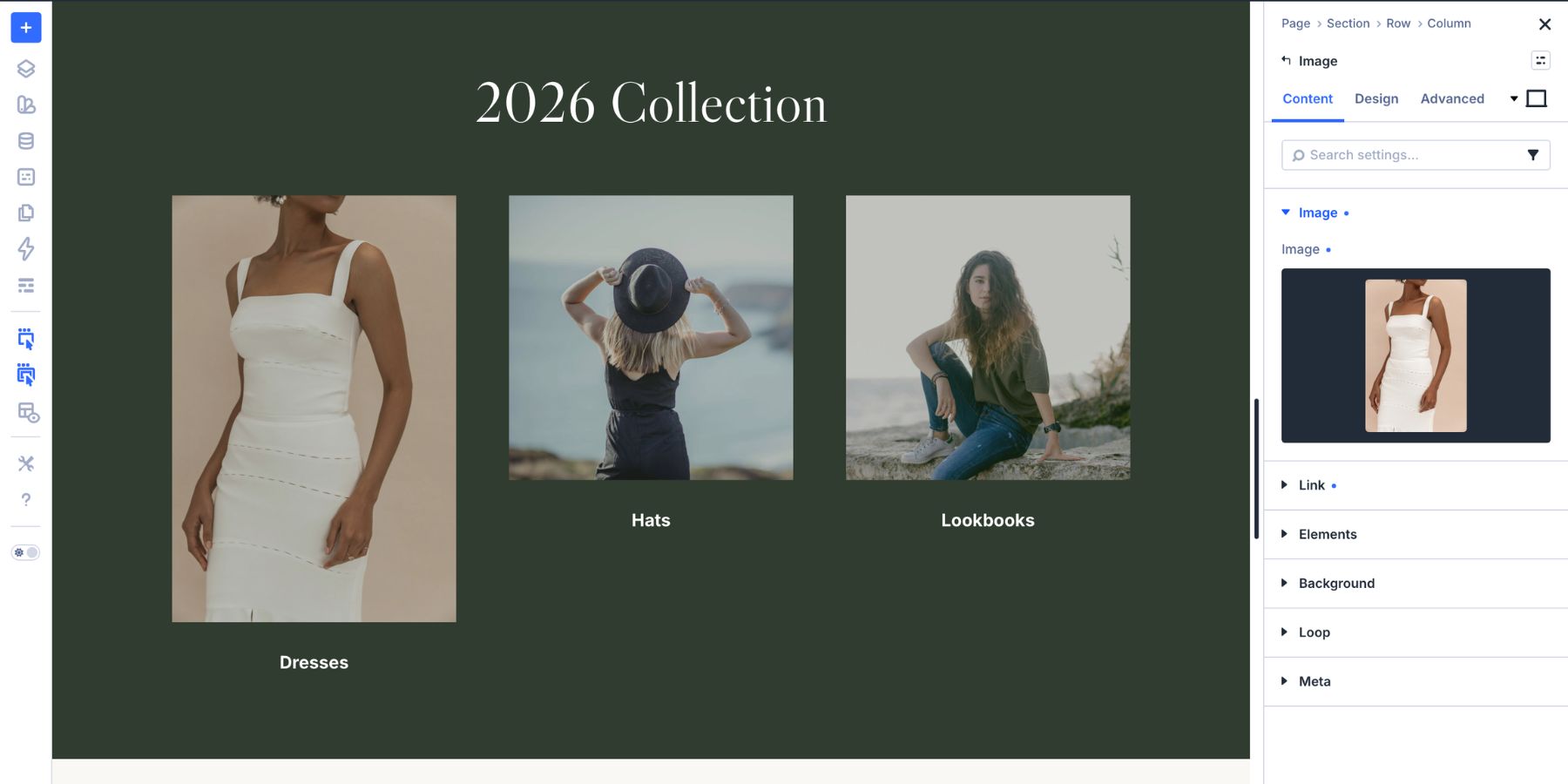 Image module with an image selected in Divi 5