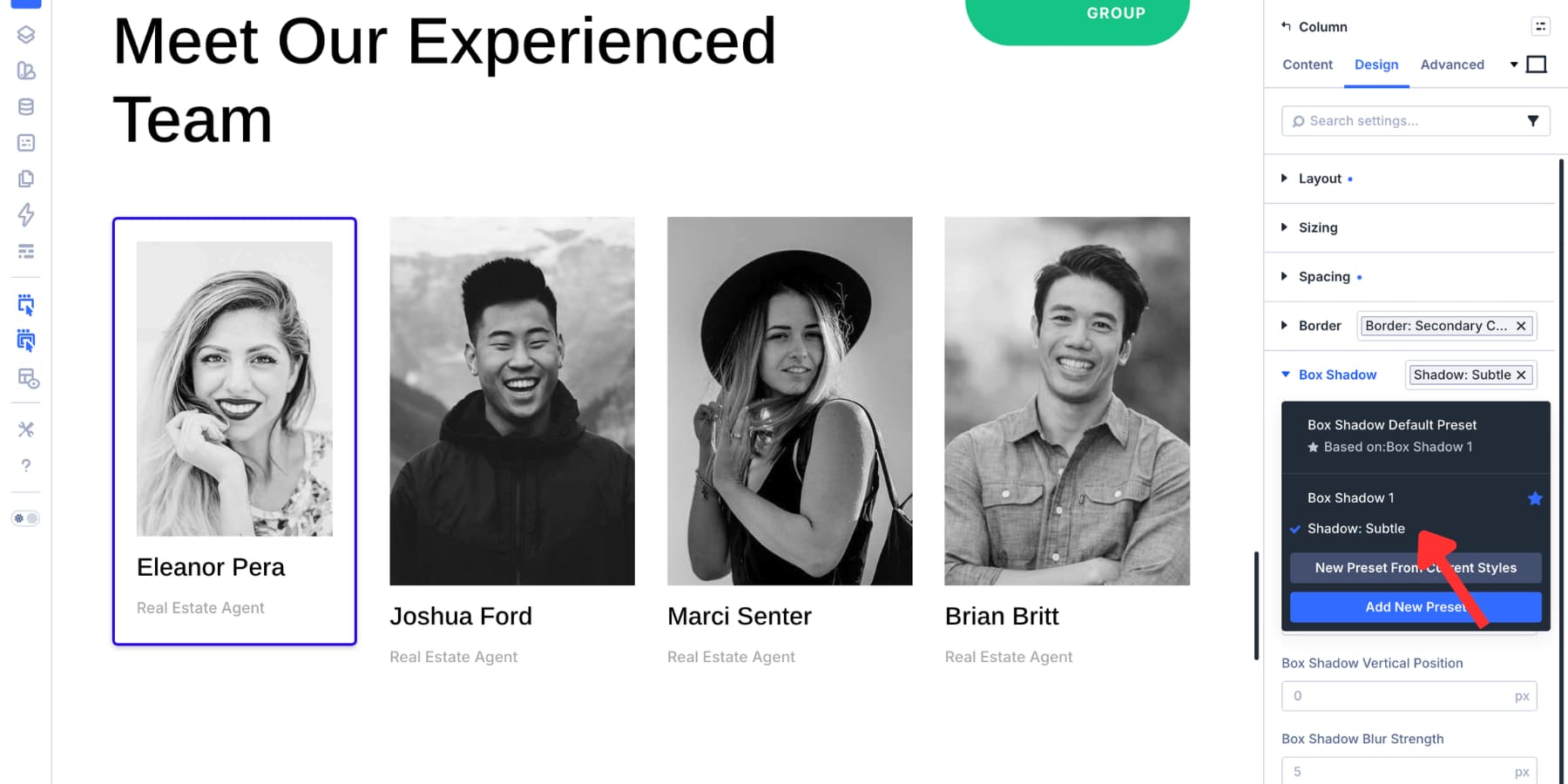 Applying Option Group Presets in Divi 5