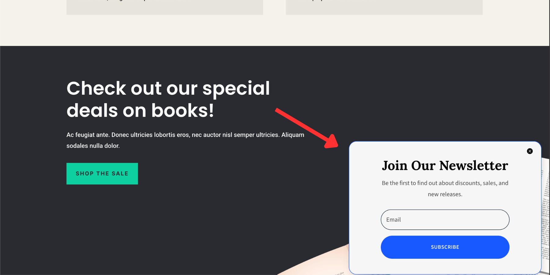 Minimalist bottom-right email popup shown on the page