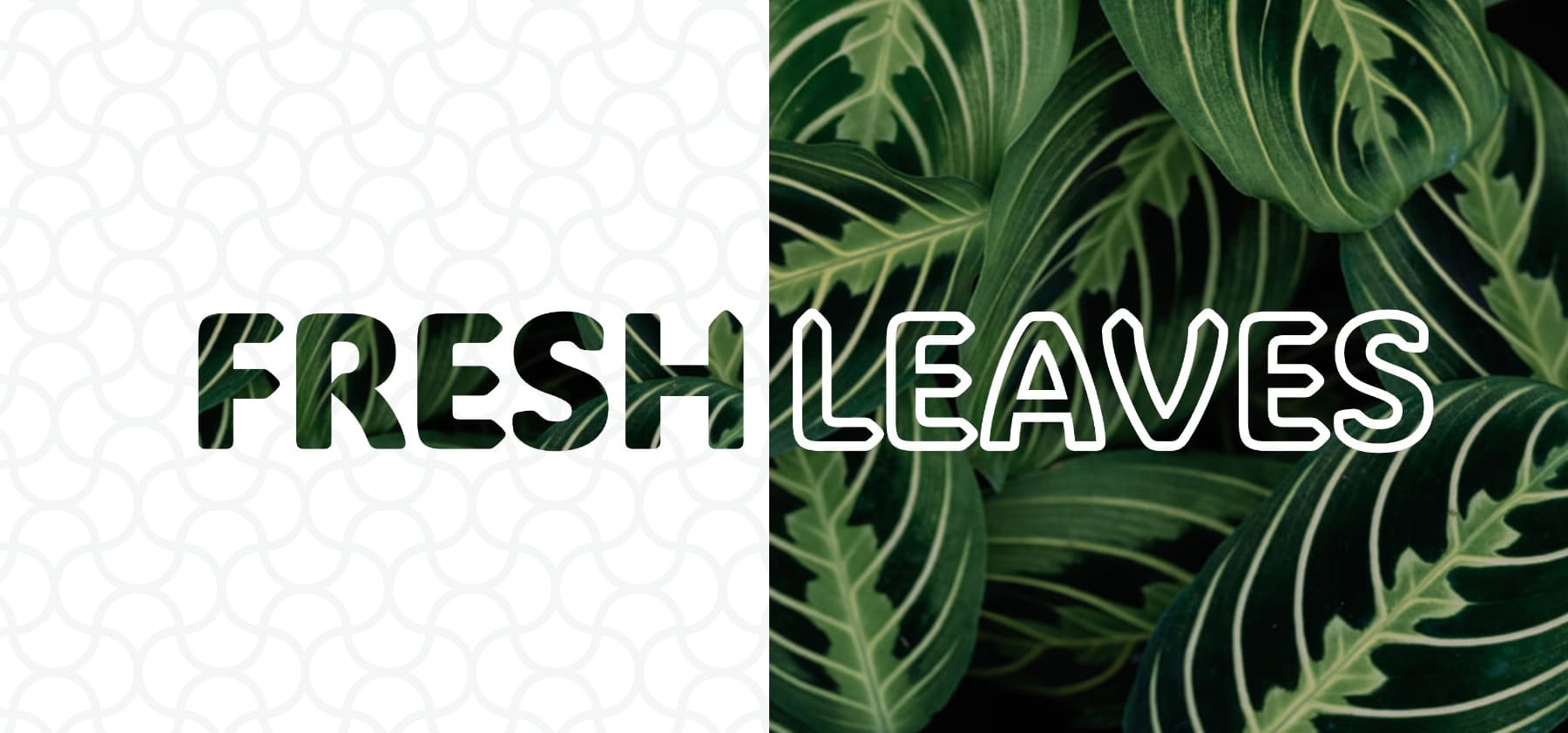 Dual text fill design using image fill and transparent outlined text