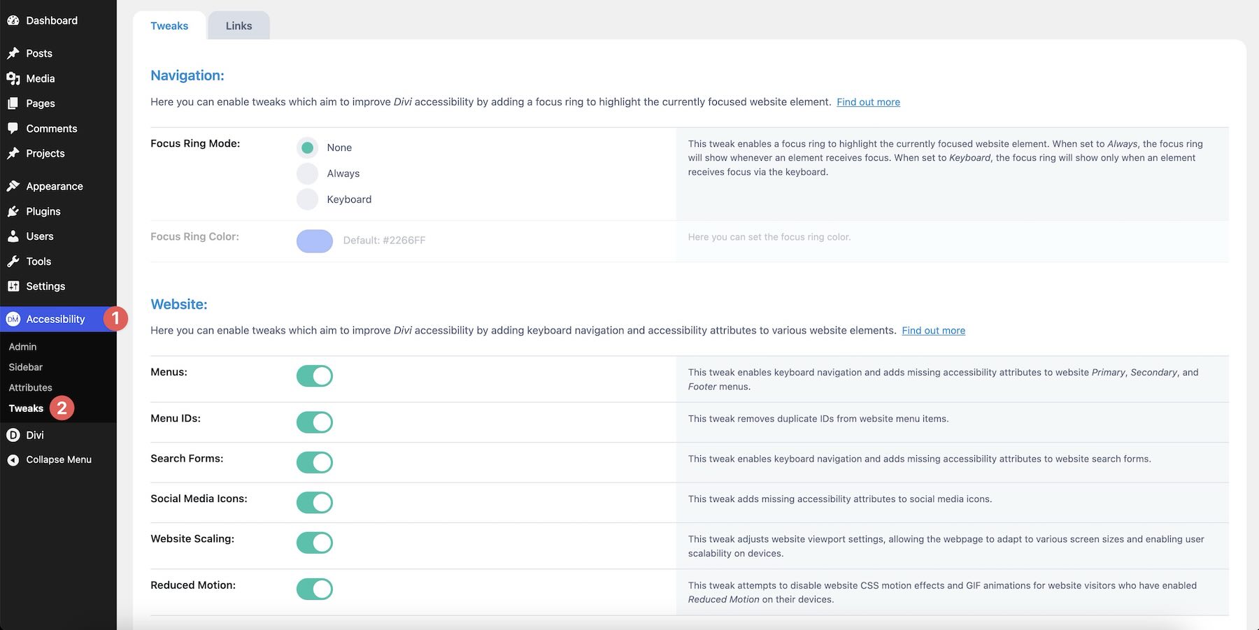 Accessibility Tweaks plugin settings in WordPress