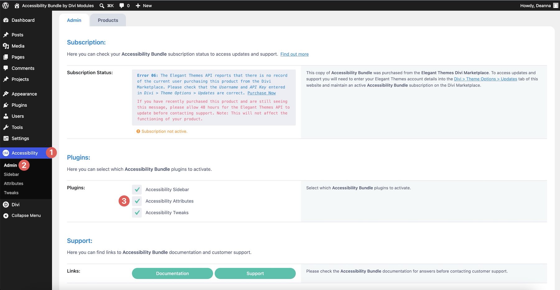 Activating Accessibility Attributes for the page example