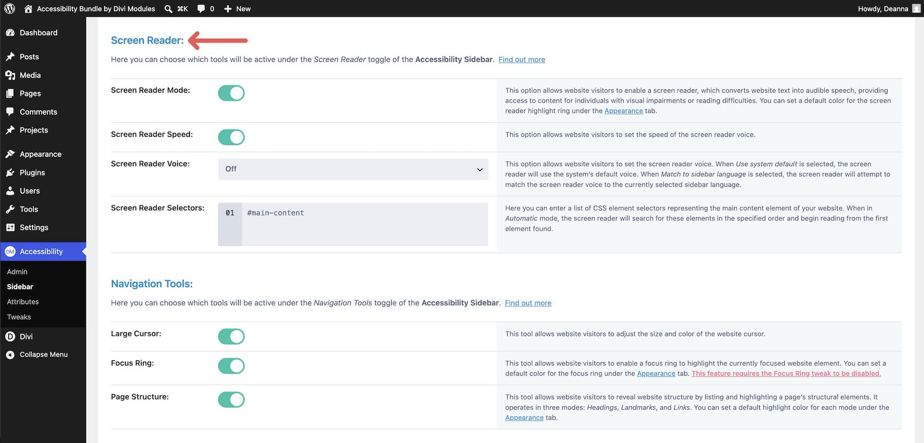 Screen reader tools inside Accessibility Sidebar