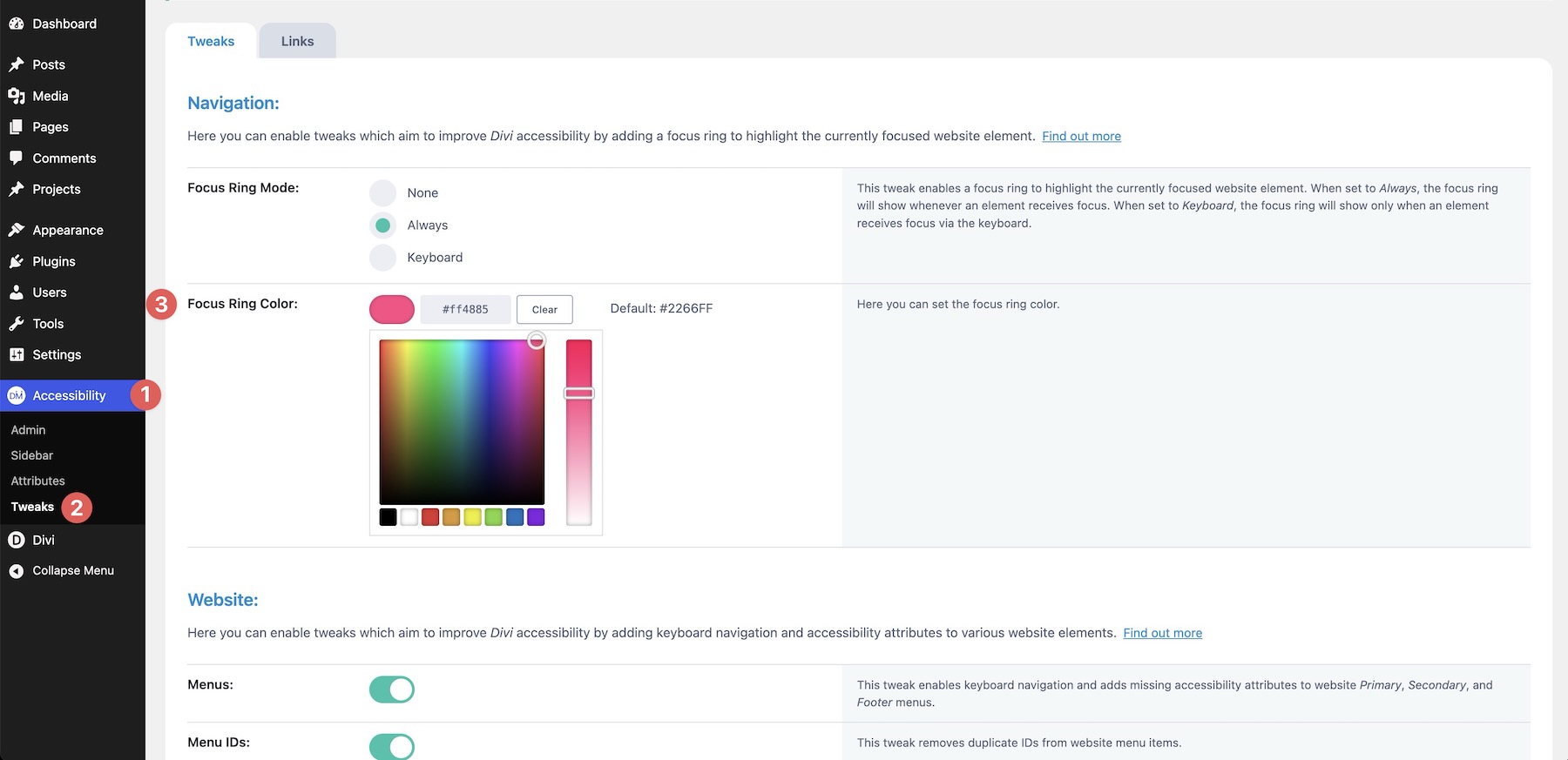 Setting up the Focus Ring in Accessibility Tweaks