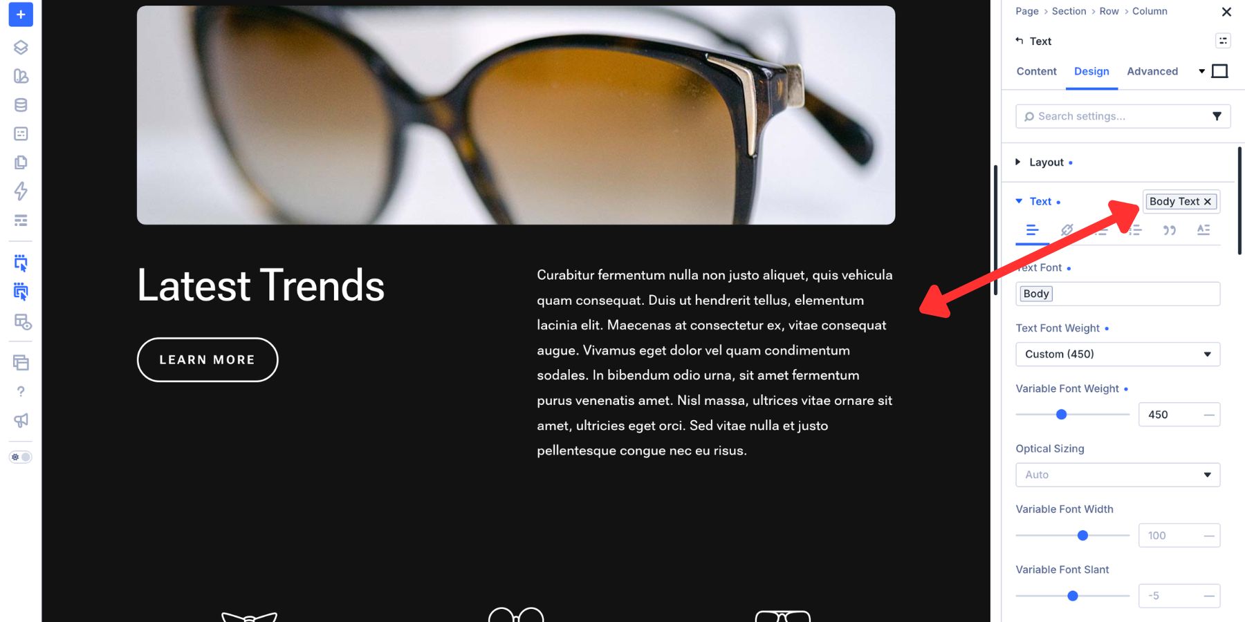 Applying an Option Group Preset in Divi 5