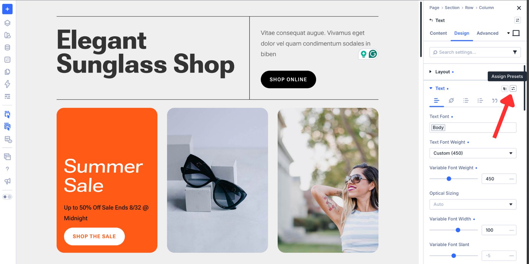 Finding the Option Group Preset icon in Divi 5