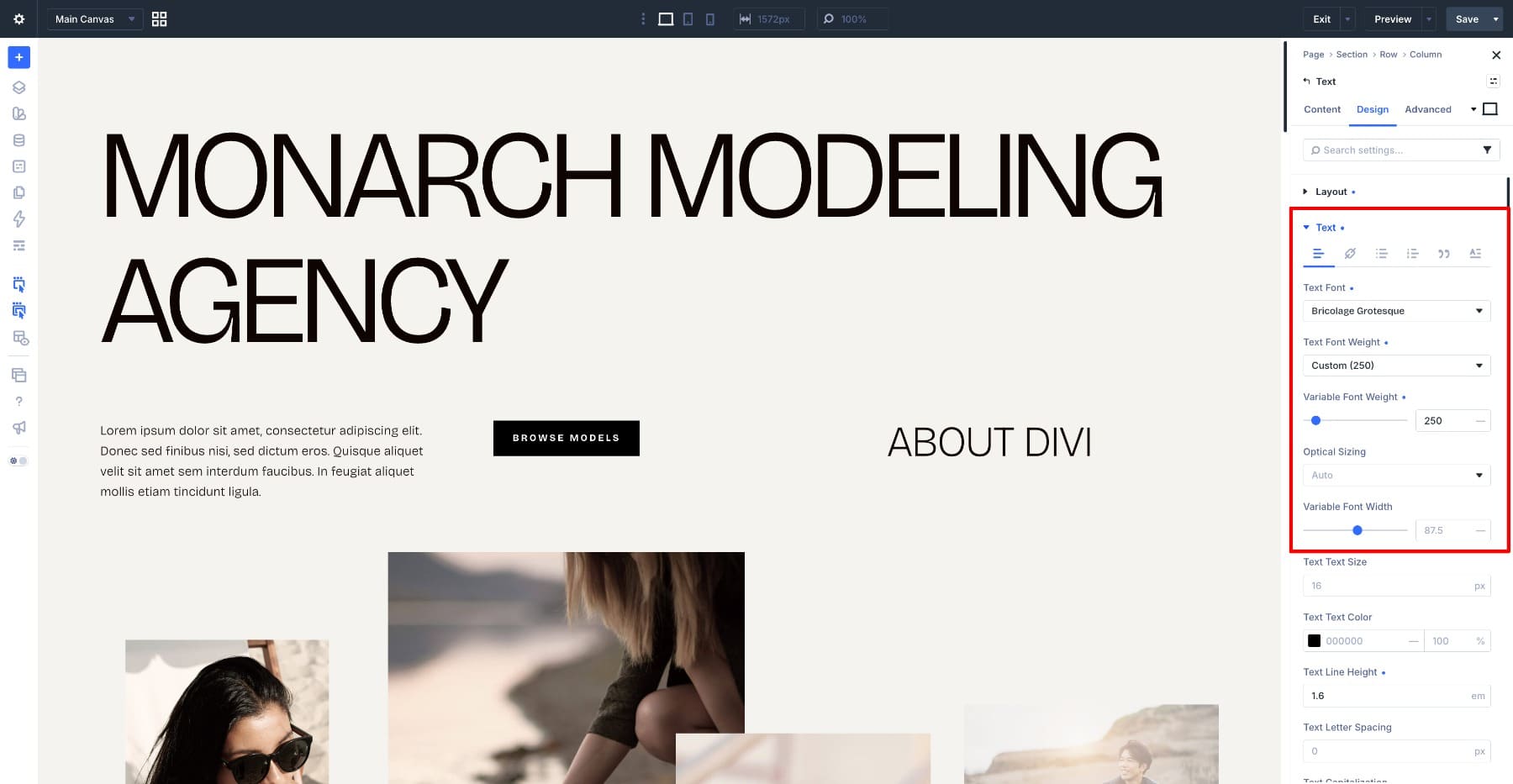 Bricolage Grotesque body text settings in Divi 5