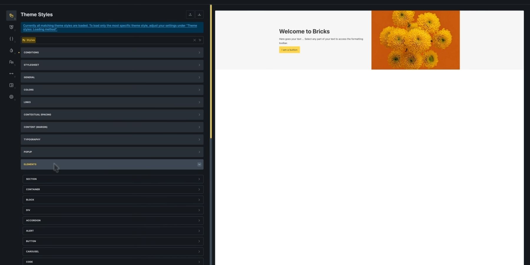 A screenshot of Bricks' style manager