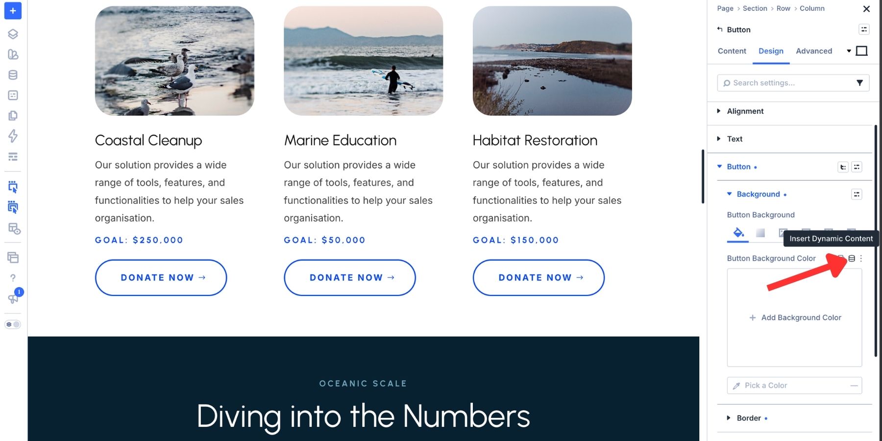 A screenshot of where to find insert dynamic content icon in Divi 5