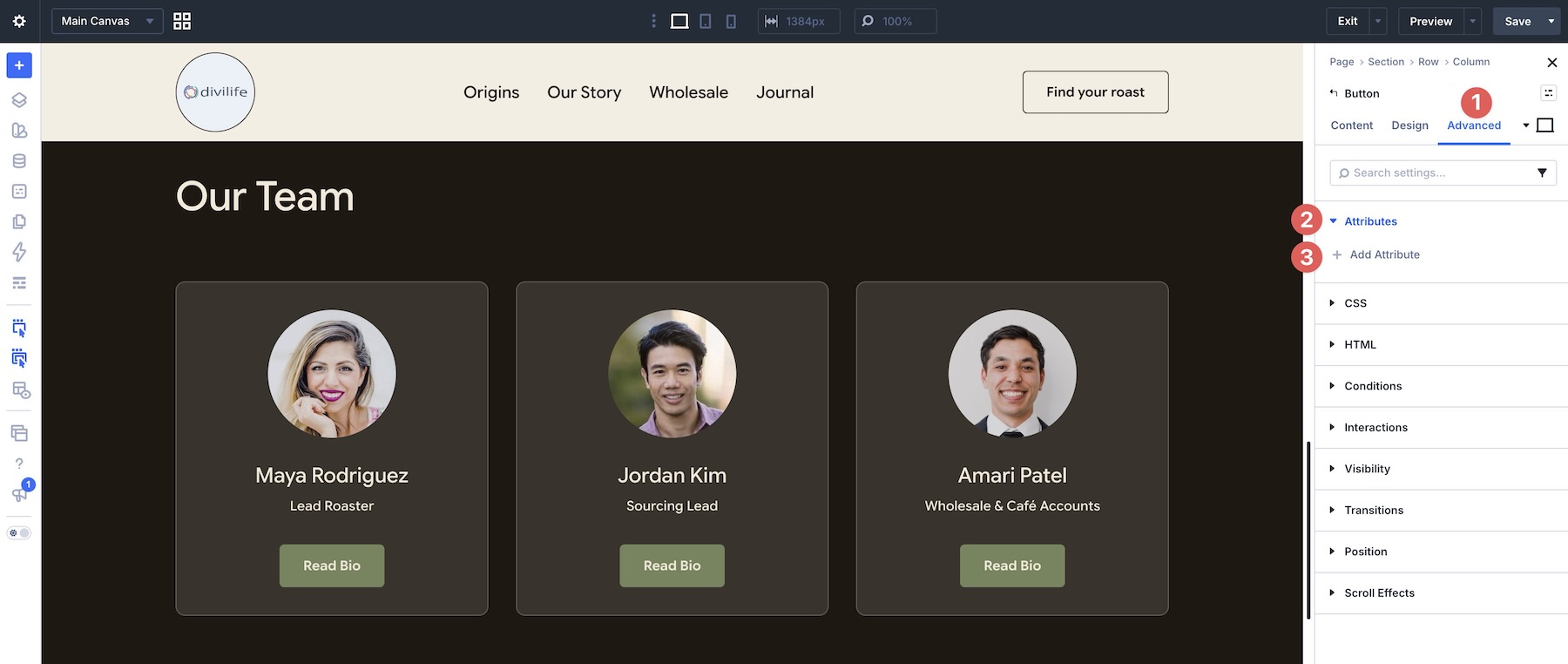 Divi 5 attributes option group