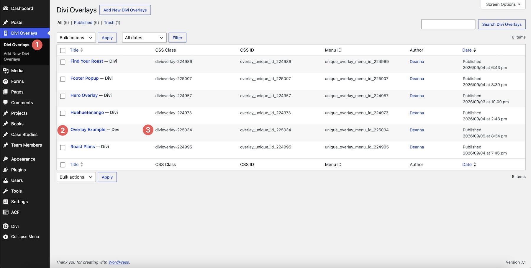 Divi Overlay CSS Class