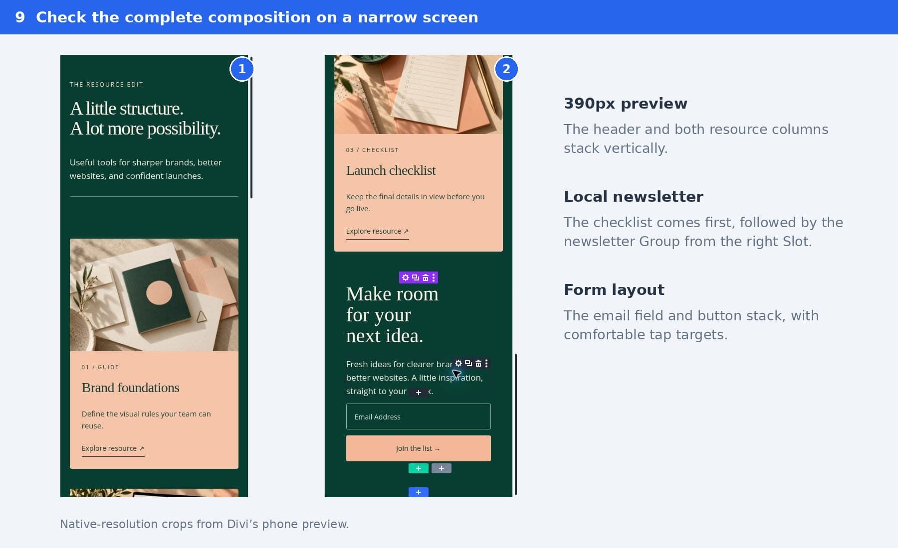 390px Divi phone preview showing stacked header and resource cards, followed by the newsletter and stacked form controls.