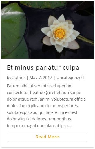 Criar um blogue com o módulo Divi