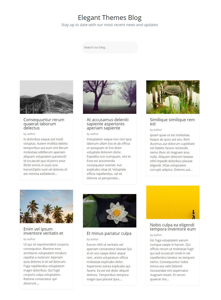 Módulo de pesquisa da Divi