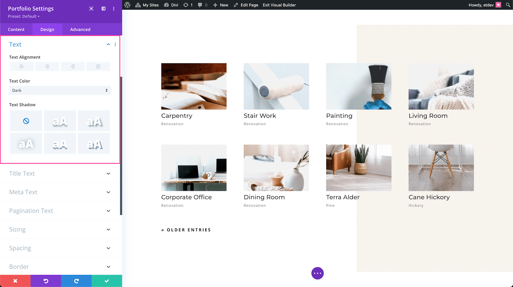 Divi Portfolio Module