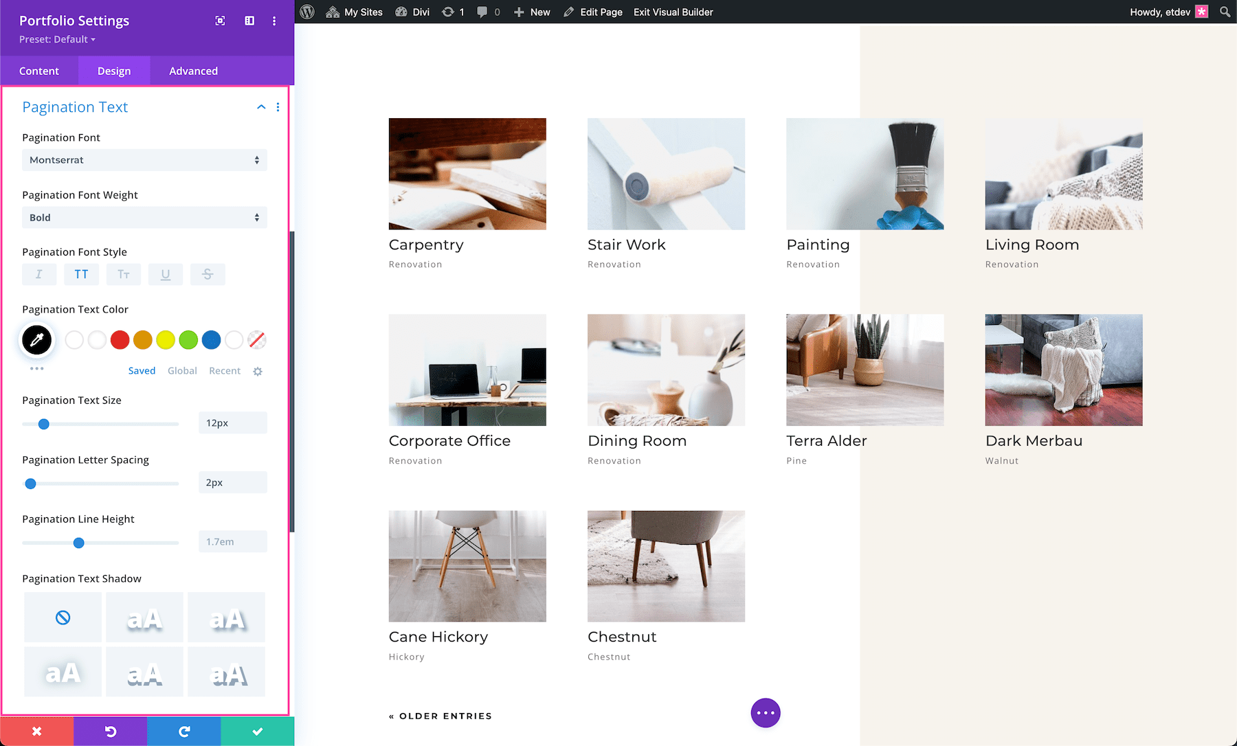 Divi Portfolio Module