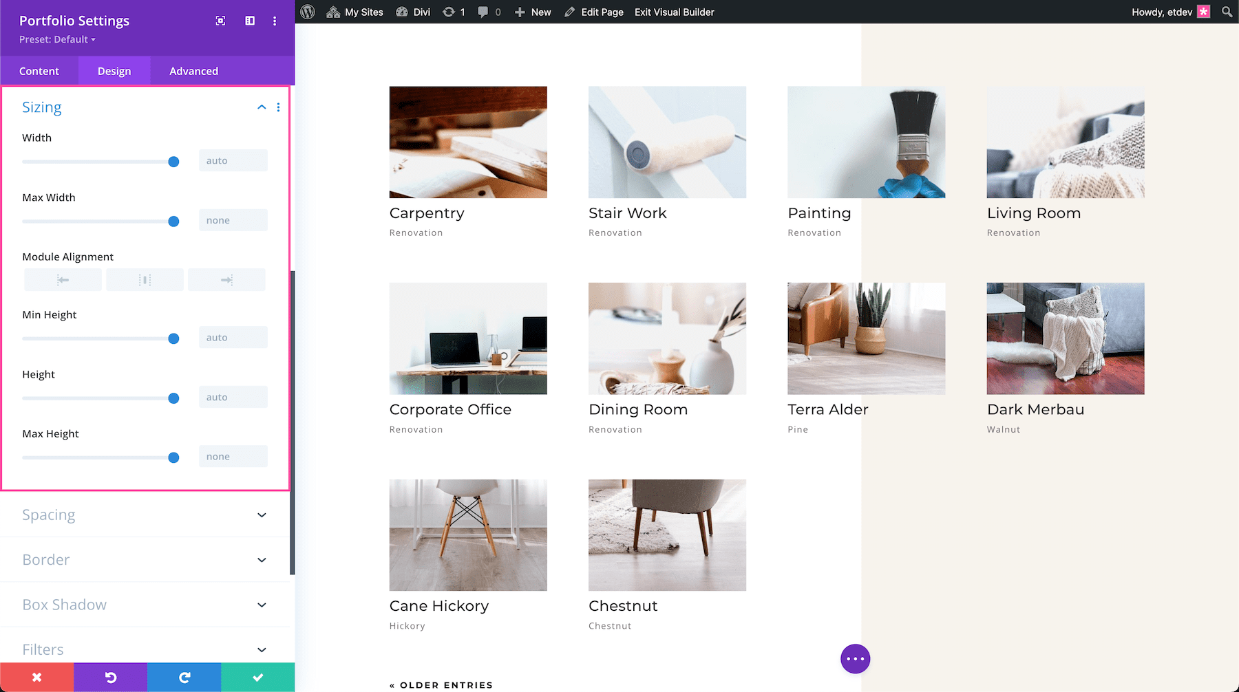 Divi Portfolio Module