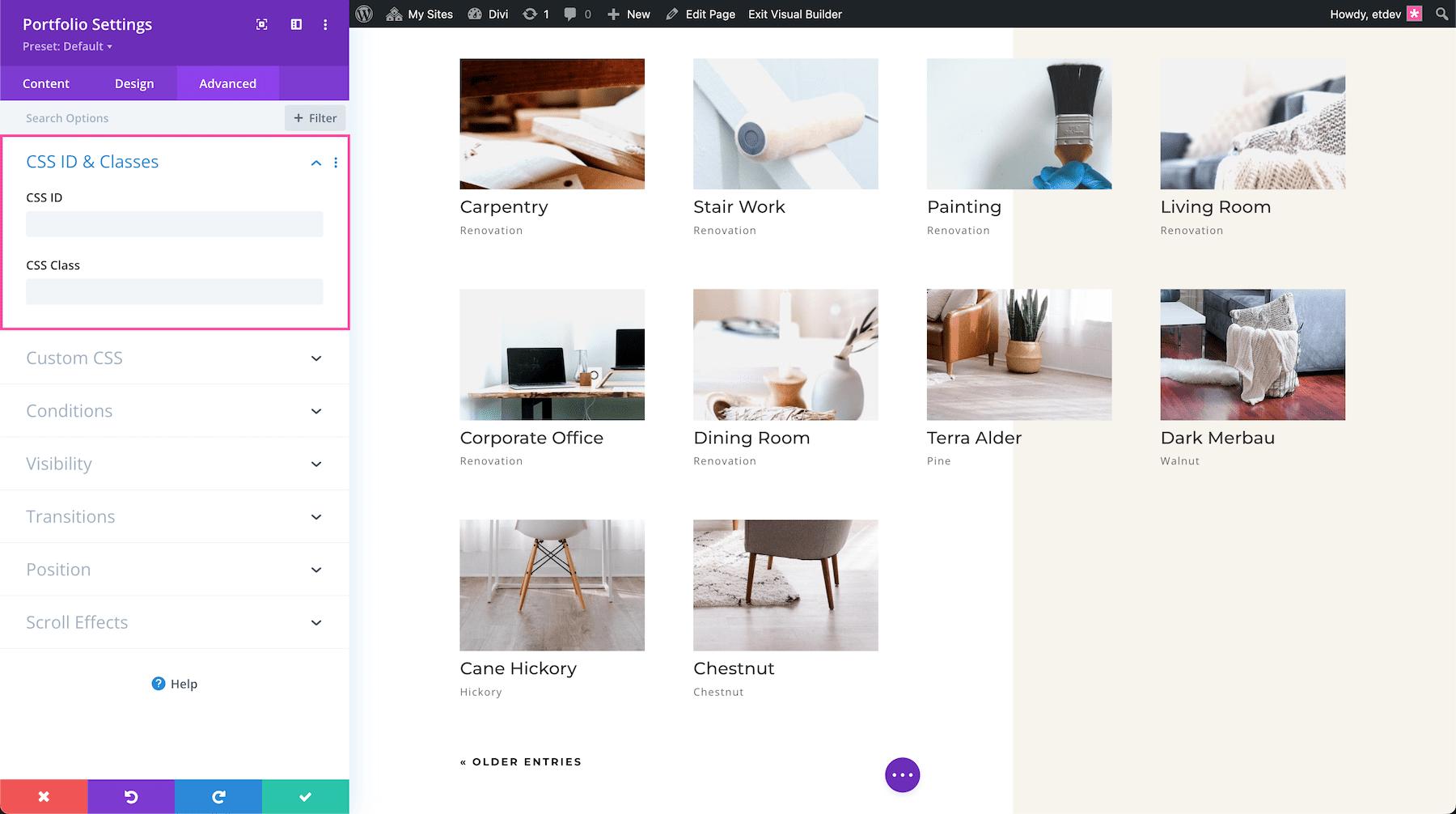 Divi Portfolio Module