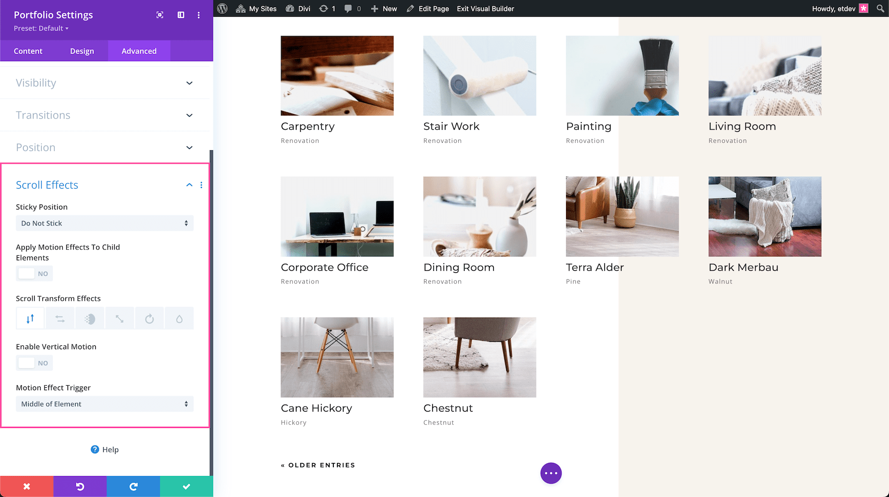 Divi Portfolio Module