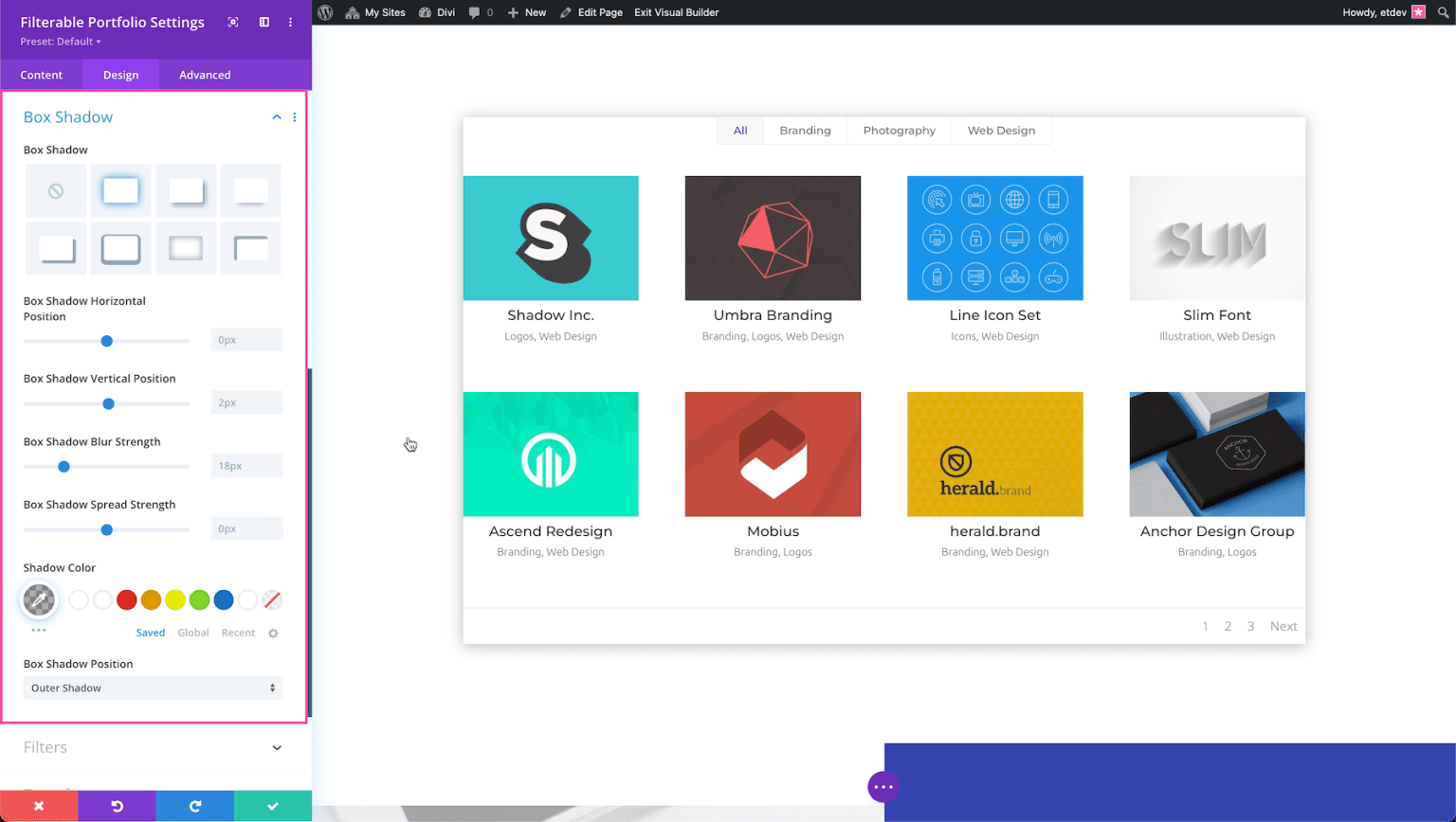 The Divi Filterable Portfolio Module | Elegant Themes Documentation