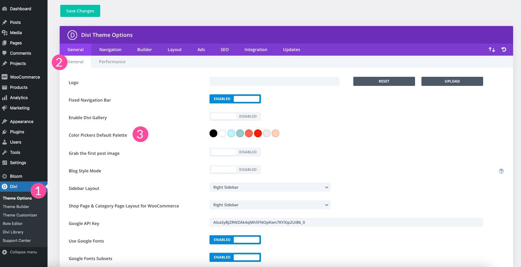 Divi color picker default palette