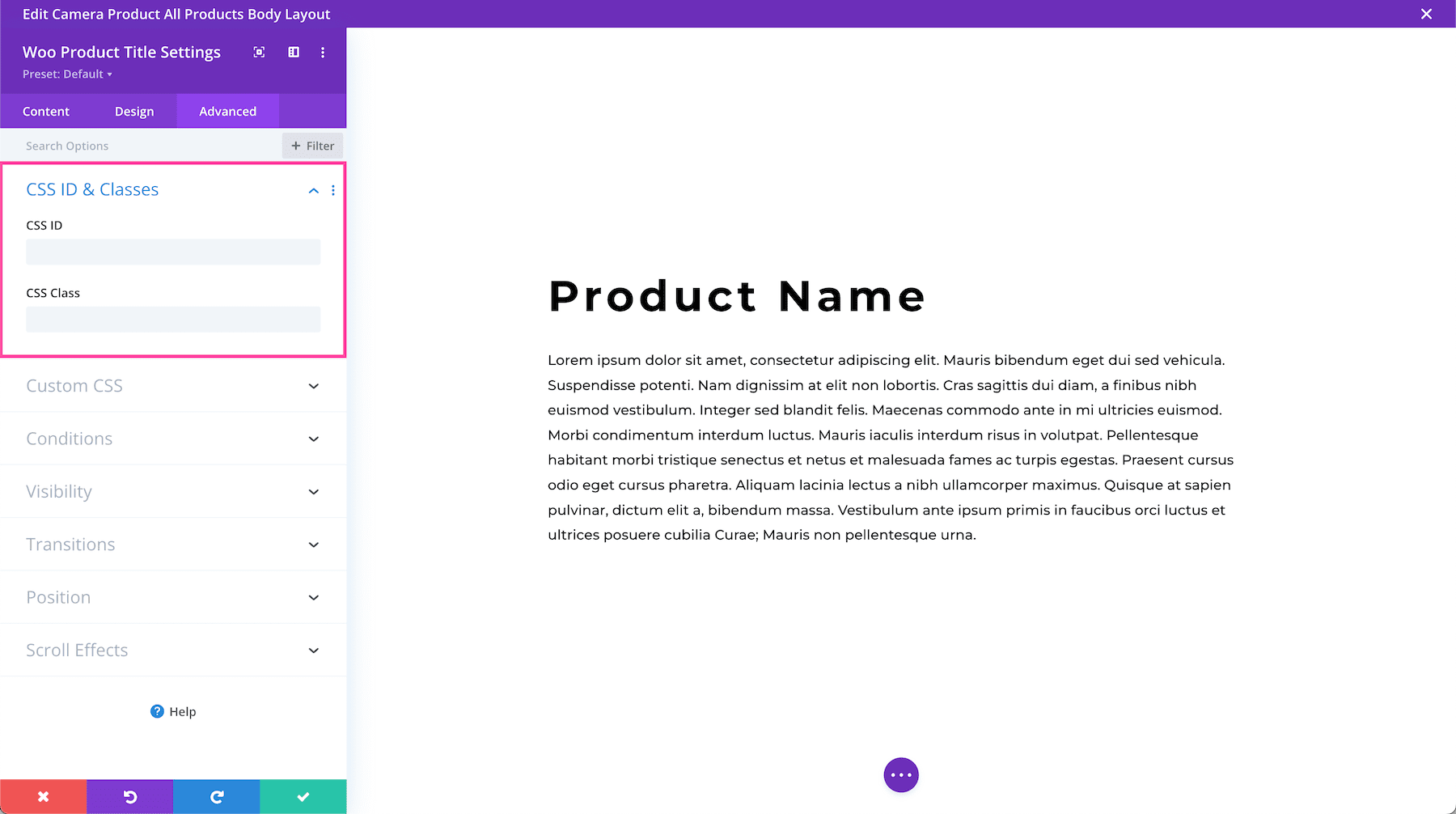 https://www.elegantthemes.com/documentation/wp-content/uploads/2022/10/24-producttitle.png