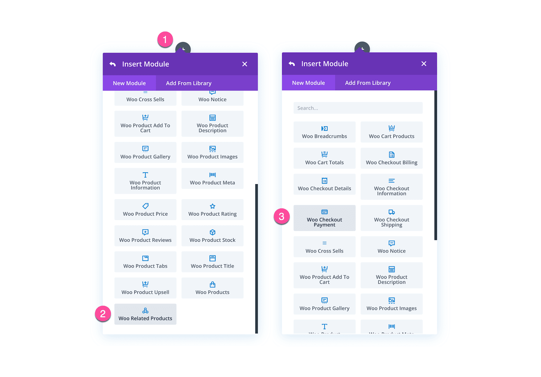 Divi Woo Checkout Payment Module