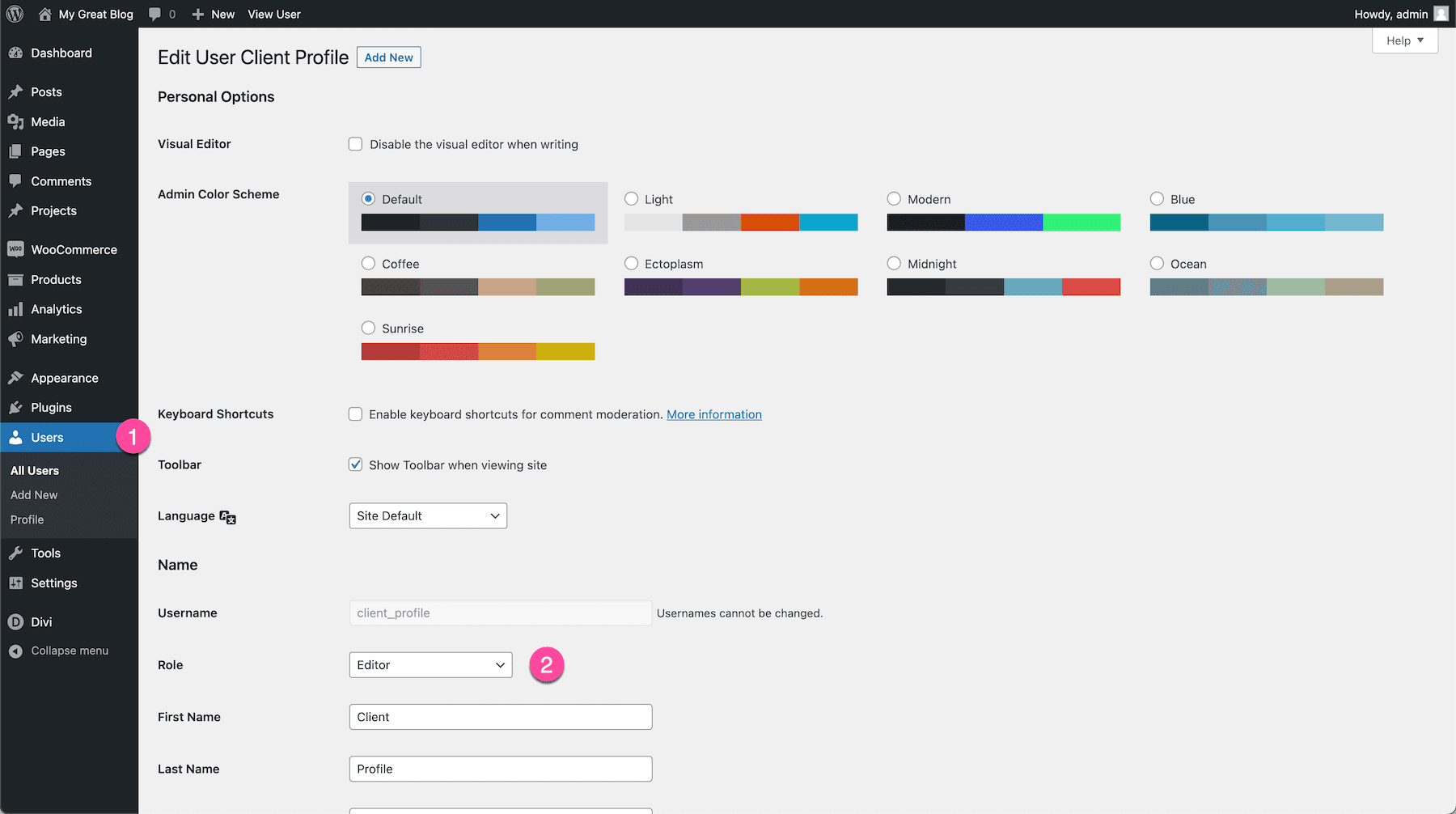 How to use the Divi Role Editor