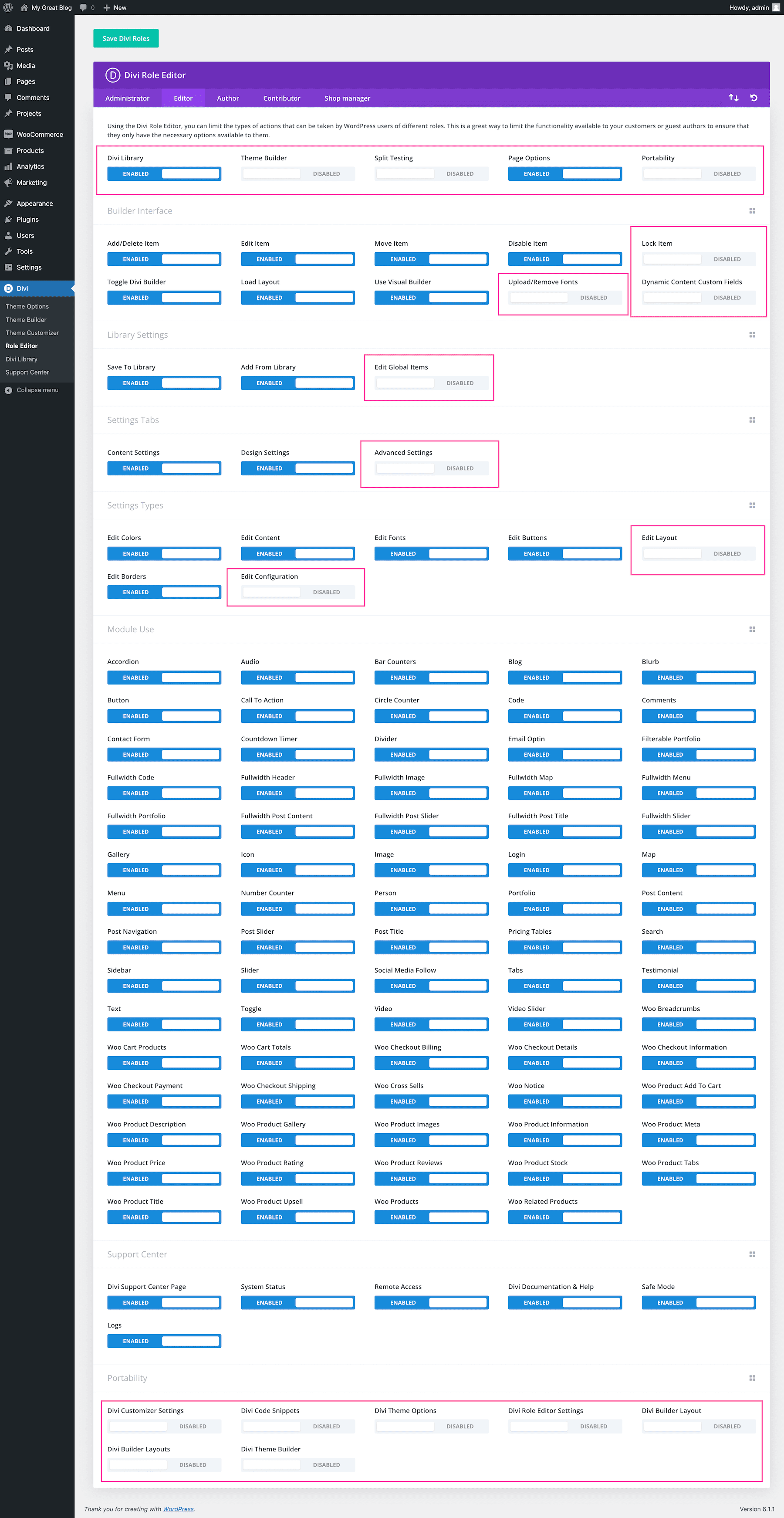 How to use the Divi Role Editor