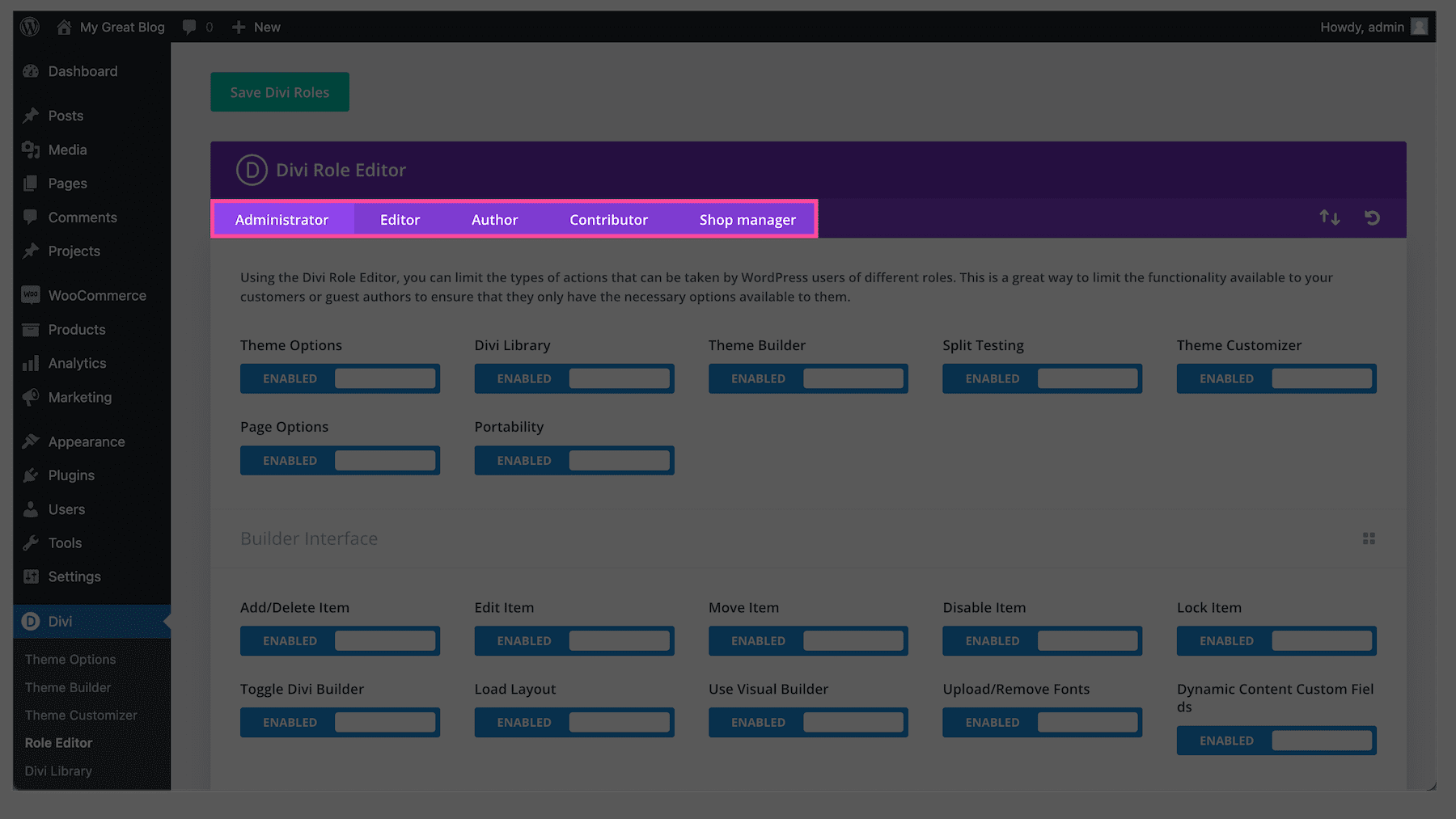 How to use the Divi Role Editor